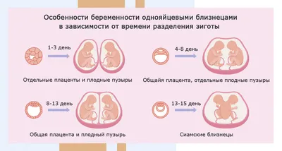 Календарь беременности по неделям