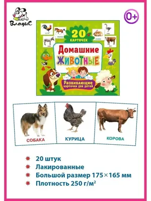 Развивающие карточки для детей \"Лесные животные\" - купить книгу с доставкой  в интернет-магазине «Читай-город».