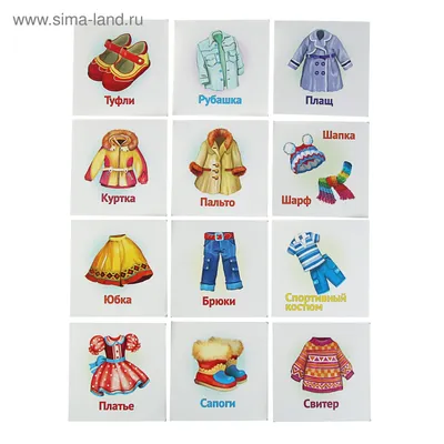 Развивающие карточки для малышей «Одежда», 12 карточек (683940) - Купить по  цене от 28.14 руб. | Интернет магазин SIMA-LAND.RU
