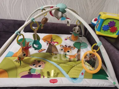 https://mamico.md/ru/catalog/camera-copilului/saltele-de-joaca/salteluta-de-activitati-tiny-love-gymini-deluxe-princess-tales/