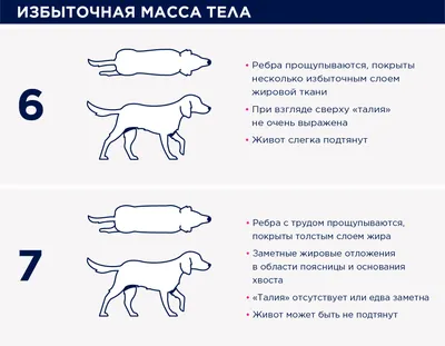 Ребра для собак - купить с доставкой по выгодным ценам в интернет-магазине  OZON (742044591)