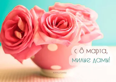 Поздравления с 8 Марта: оригинальные открытки в стихах для мамы, коллеги,  бабушки или дочери | РБК Life