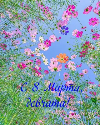 Куда сходить 8 марта в Петербурге?