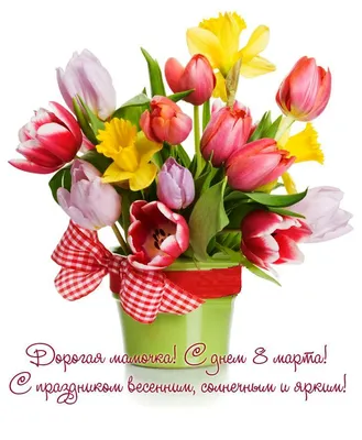 Поздравление с Международным женским днем | 08.03.2024 | Уссурийск -  БезФормата