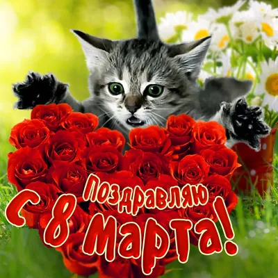 Поздравления с 8 Марта: оригинальные открытки в стихах для мамы, коллеги,  бабушки или дочери | РБК Life