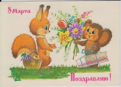 Комнатные цветы на 8 Марта: самые весенние и самые редкие