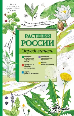 Арктические цветы: растения Севера, занесённые в Красную книгу