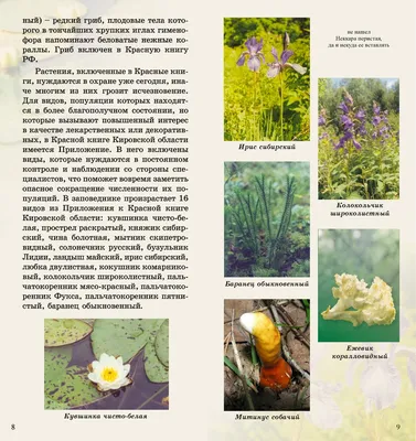 Редкие виды растений Куршской косы | Куршская Коса - национальный парк