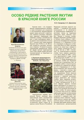 Путин ввел уголовную ответственность за сбор редких растений и грибов — РБК