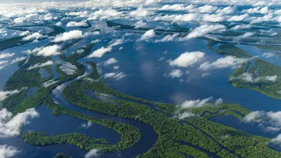 Откройте для себя величие Реки Амазонки с нашими фото