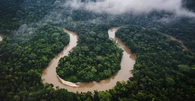 Впечатляющие изображения Реки Амазонки для вашего выбора