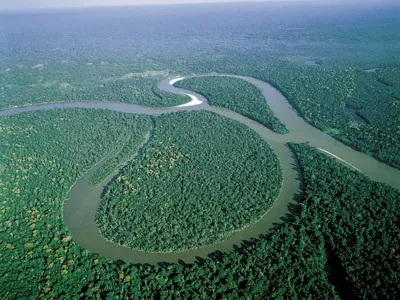 Погрузитесь в мир Реки Амазонки с нашей коллекцией фото