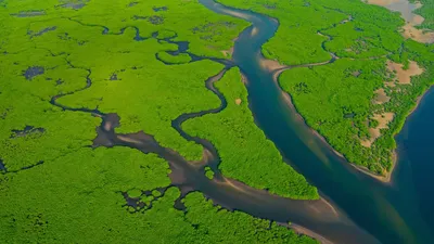 Удивительные виды Реки Амазонки на фото в разных форматах
