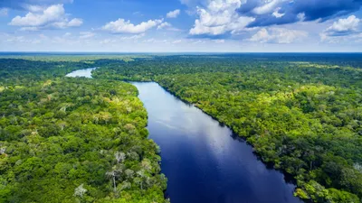 Природное чудо: фото Реки Амазонки для вдохновения