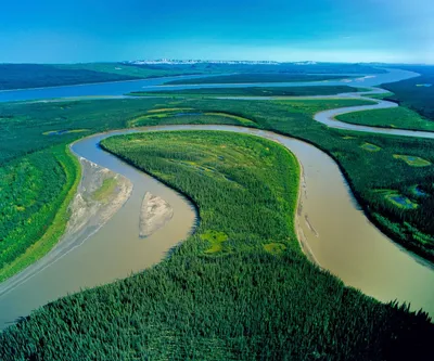 Река Амазонка: изображения, которые оживляют природу