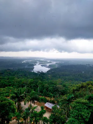 Река Амазонка: фото, которые погрузят вас в природу