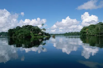 Очарование Реки Амазонки: фото в формате JPG, PNG, WebP