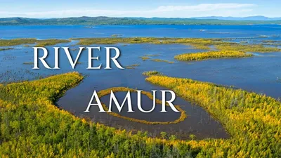 Река Амур: природная гармония