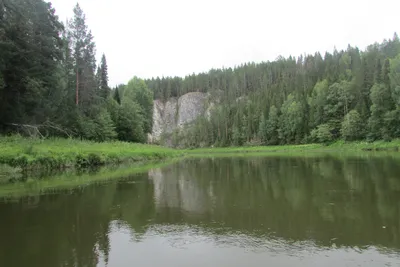На очистку реки Чусовой направят 2,7 миллиона рублей: Общество: Облгазета