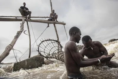 Исследуйте магию Реки Конго: Картинки в хорошем качестве для скачивания