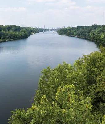 Исследуйте природу: загадочная Река Миссисипи