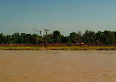 Река Нигер: красота природы в одном изображении