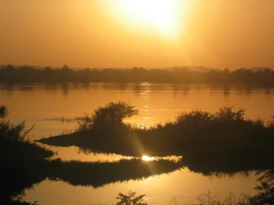 Изумительная природа Реки Нигер в картинках
