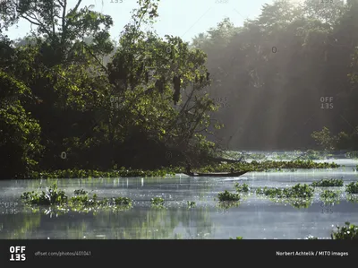 Уникальные снимки реки Ориноко в формате PNG