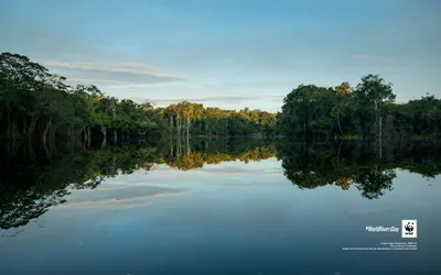 Фото реки Ориноко: красота природы в хорошем качестве
