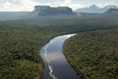 Картинки реки Ориноко: красота природы в формате WebP