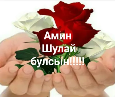 Рәхмәт хаты (2) | \"Без Тукайлы халык!..\"