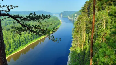 Какая самая длинная река в России? (опросила 10 человек, и лишь один  ответил правильно) | Природа и не только | Дзен