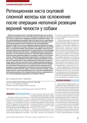 Контурная пластика губ в Москве: цена процедуры, фото до и после, отзывы |  Стоимость коррекции контура губ филлерами в клинике Seline