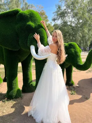 Свадебное платье Vino от Strekoza 👰 по цене 55 000 ₽.