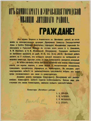 От голодных бунтов к свержению монархии. Что заставило Николая II отречься  от престола | История в подлинниках | Дзен