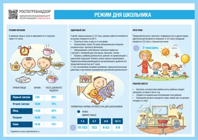 Режим дня — Социально-оздоровительный центр «Лазурный»