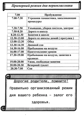 Почему для детей важен режим дня, и можно ли без него обойтись – Москва 24,  15.11.2021