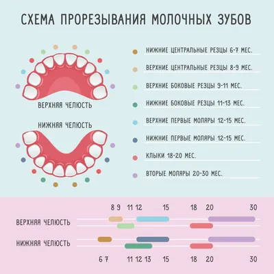 Режутся зубки: как облегчить жизнь себе и ребенку | STADA