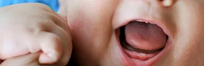 Зубы у котят: что нужно знать? Читать на сайте ? SUPERPET