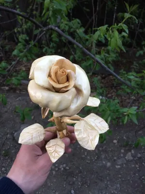 Резная роза фото фотографии