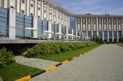 Казахстанская Лапландия в Rixos Borovoe (Риксос Боровое), оленьи упряжки,  резиденция Деда Мороза в Боровом