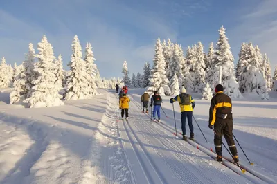 Rixos Borovoe - Звездное небо, палатки, близость к природе... | Facebook