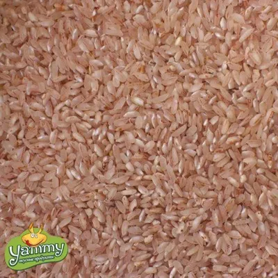 Купить Asia Rice рис аланга для плова 800 г в Алматы – Магазин на Kaspi.kz