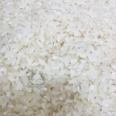 Рис для плова узбекский круглозерный 1 кг Green Leaf 30017752 купить в  интернет-магазине Wildberries