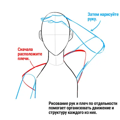 Уроки рисования в стиле аниме - Художественная школа-студия Сфера. Курсы  рисунка, живописи, иллюстрации в Минске.