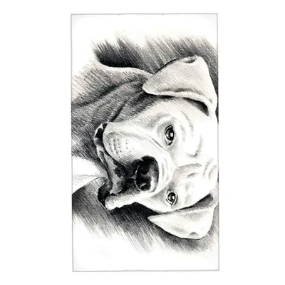 Портрет карандашом Джек Рассел терьер собаки Иллюстрация штока -  иллюстрации насчитывающей чертеж, изолировано: 168184662