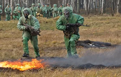 День войск РХБЗ отмечается 13 ноября | Администрация Городского округа  Подольск