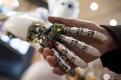 Робототехника и ее роль в будущем - Блог о науке и экономике |  kholmskbank.ru