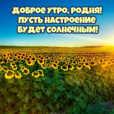 СЛОЖНЫЙ ТЕСТ на знание фильма «Родня»