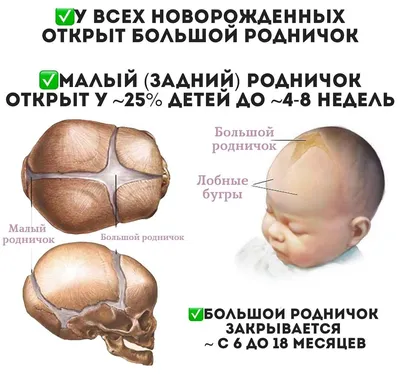 Для чего нужен родничок у новорожденного | PANÇO RUSSIA | ДЕТСКАЯ ОДЕЖДА |  Дзен